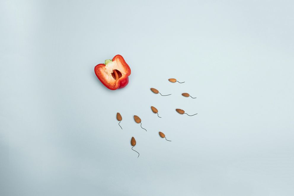 Carnivore Diet and PCOS: Can It Help? A woman with PCOS considering the carnivore diet.