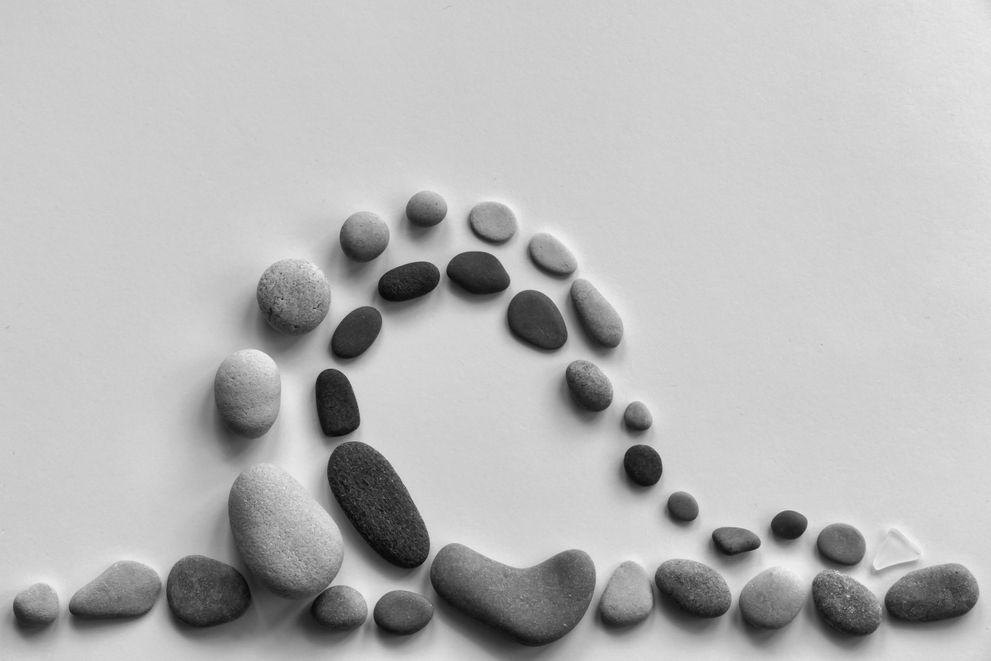 Effective Diets for Women with Kidney Stones 2024: Prevention and Management Strategies A variety of healthy meals recommended for women with kidney stones, including low-oxalate vegetables, fruits, and low-sodium options.