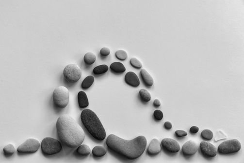 Effective Diets for Women with Kidney Stones 2024: Prevention and Management Strategies A variety of healthy meals recommended for women with kidney stones, including low-oxalate vegetables, fruits, and low-sodium options.