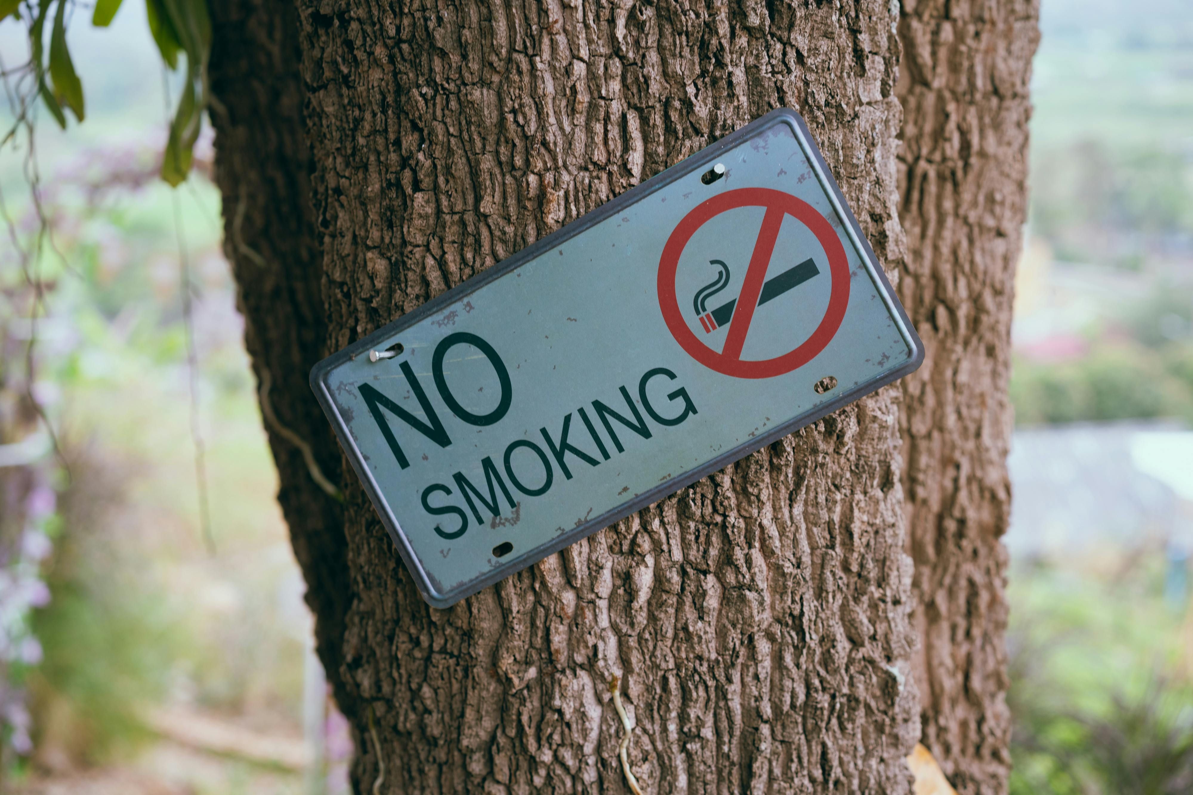 No Smoking Sign: Promoting a Smoke-Free Environment No smoking sign with a cigarette crossed out, symbolizing a smoke-free environment.